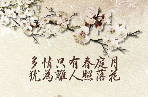 “多情只有春庭月，犹为离人照落花”是什么意思？